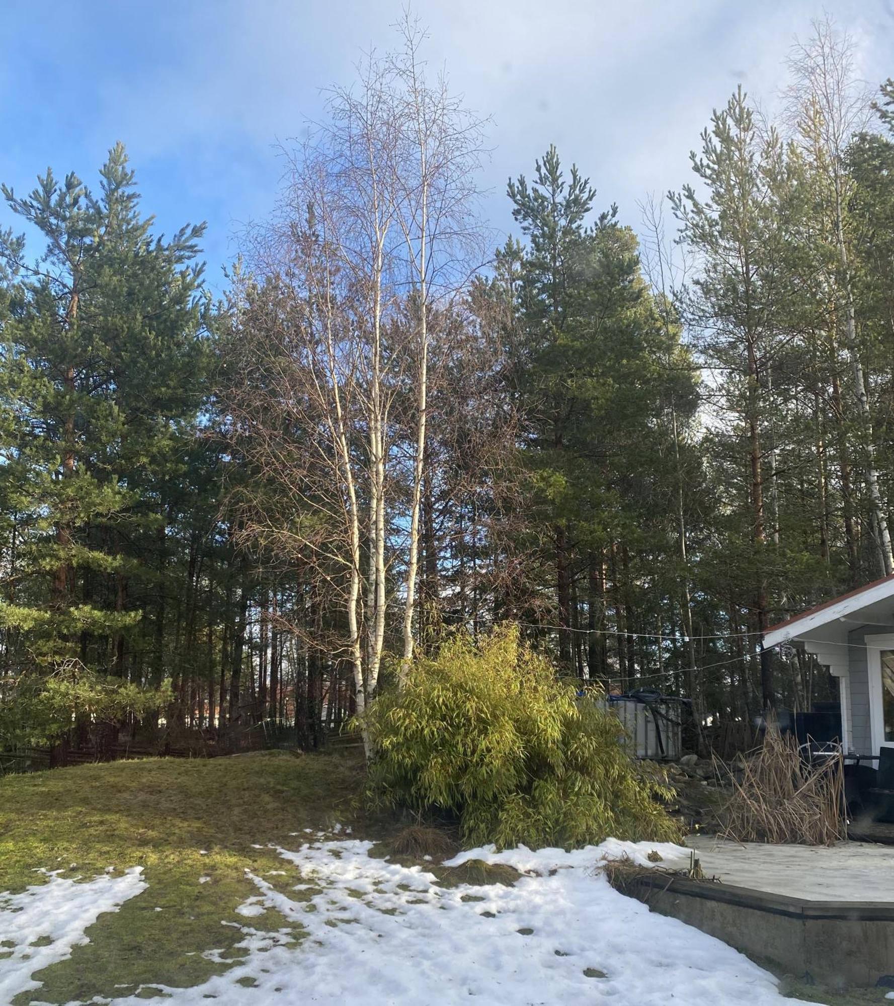 Hotel In Svalsaeter, Kallfors, Jaerna, Stockholm, 5 Min To Golf & 15 Min To Ytterjaerna Concerts Eksteriør billede